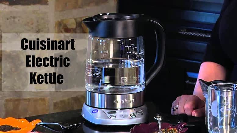 programmable electric kettle